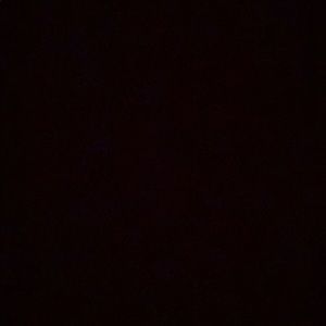 Meet your Posher, Janelys